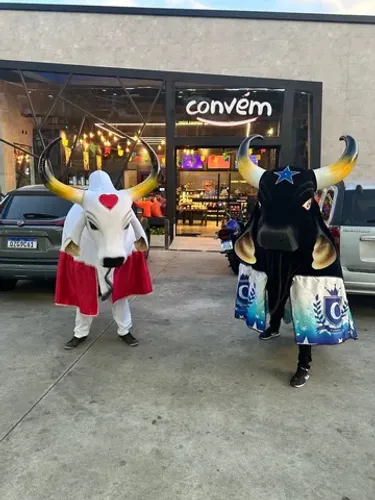 Caprichoso e Garantido para seu evento