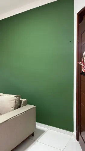 Pintor eficiência e qualidade *45