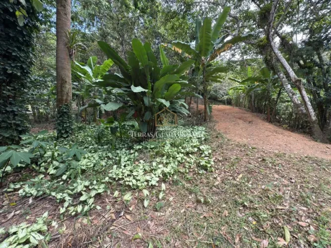 TERRENO DE 5.424,87m² localizado proximo ao centro de Pacoti