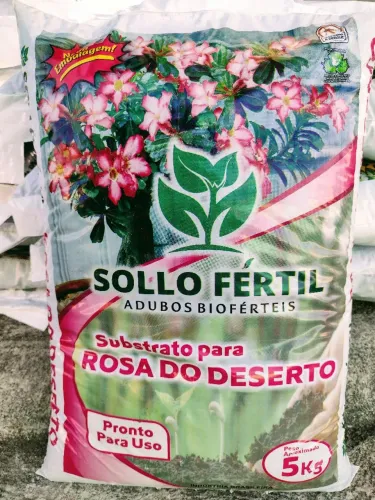 Substratos Sollo Fértil para Rosa do Deserto 