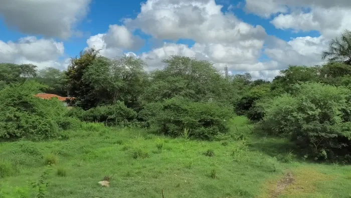 302 tarefas há 200 km de Salvador 