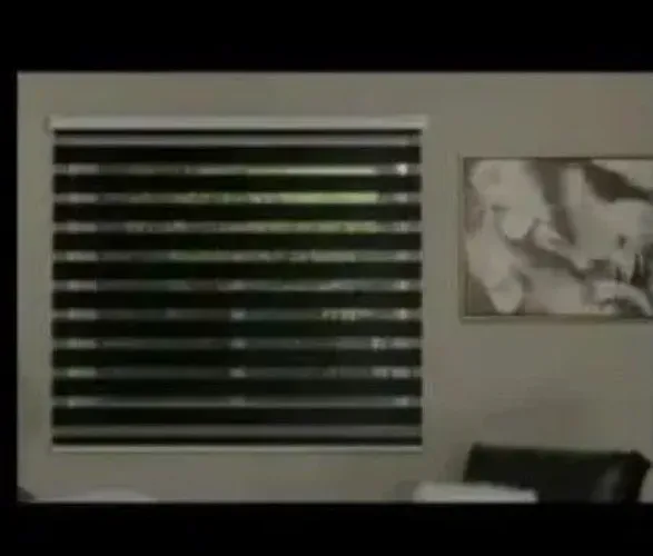 Persiana dublo vision preto, bando incluso branco pintura eletrostática 