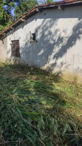 Terreno em Simões Filho 42×38