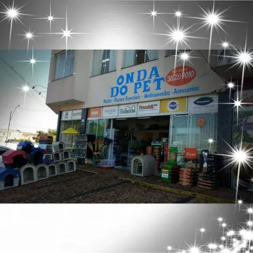 Loja petshop e avicultura com 10 anos em acensão vende 
