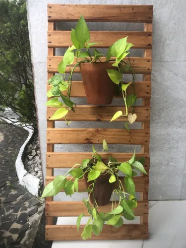 Jardim vertical completo 