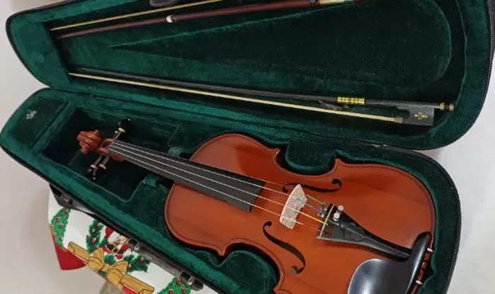 Violino Michael VNM 40