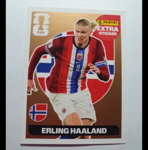 Legend Haaland bronze!