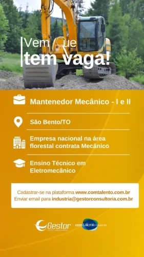 Mecanico de mineração