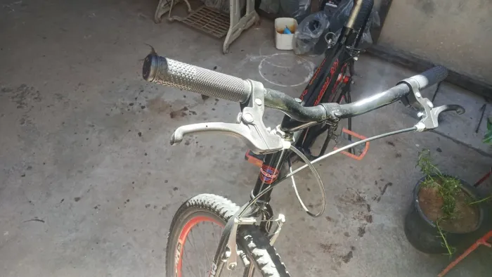 Bicicleta