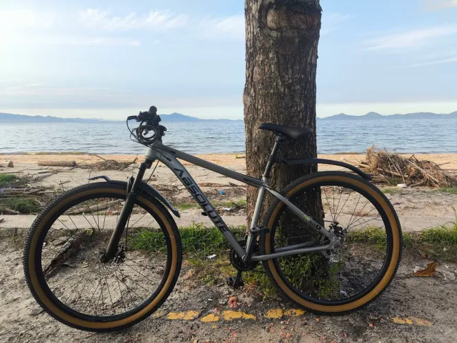 Bicicleta Aro 29
