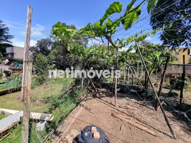 Venda Lote-Área-Terreno Havaí Belo Horizonte