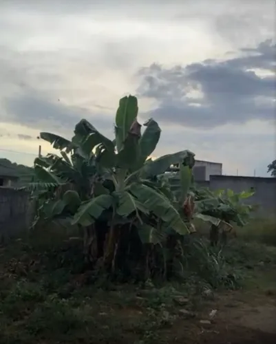 Vendo terrenos no condomínio do garças no Jardim Bangú 