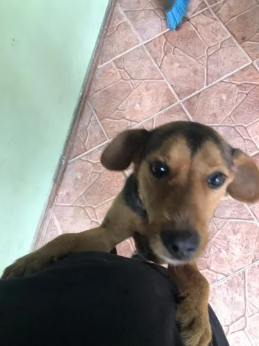 Doação responsável ?