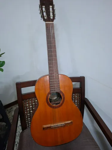 Violão giannini