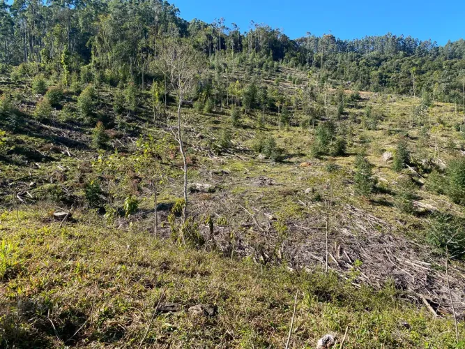 Sítio São Bonifácio SC