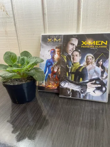 DVDs X-men Primeira Classe