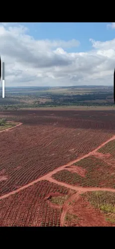 Fazenda 323 ha em Prata/MG com renda de R$ 40 mil/mês