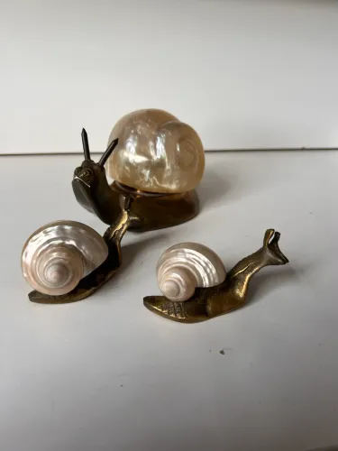 Conjunto de caracóis decorativos em latão com concha natural