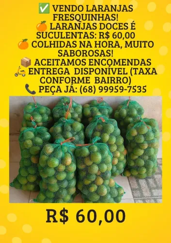 Peça já sua saca de laranja