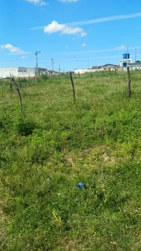 Terreno No Loteamento Vila Ney