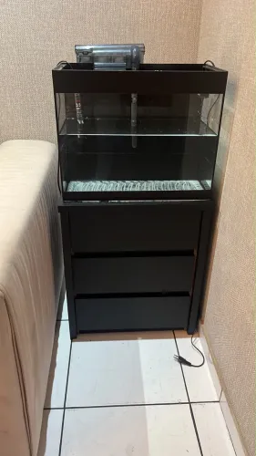 Aquário 