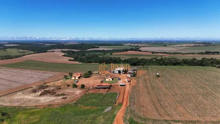 Fazenda Agrícola com Secador de Grãos e Rica em Água  São Miguel Arcanjo/SP