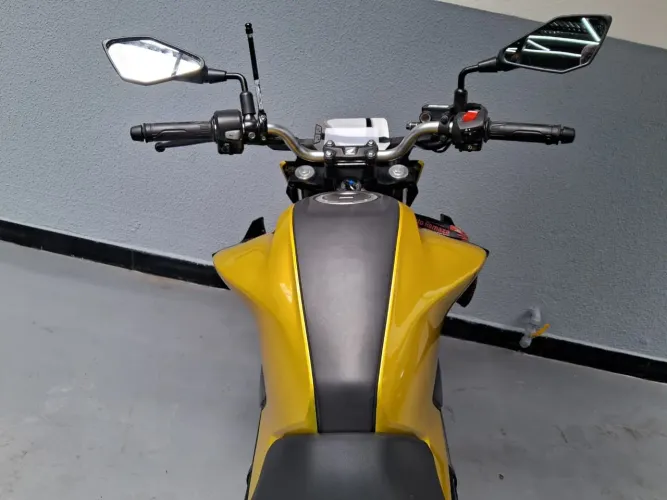 Honda CB 300F Twister Flex