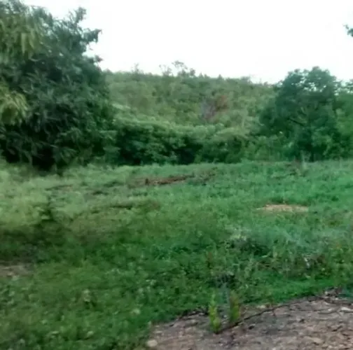 Vendo - Troco -Aceito permuta 