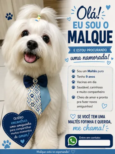 Cachorro 
