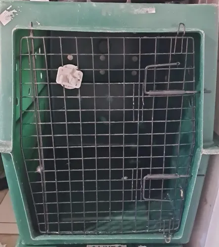 Caixa de transporte de pets