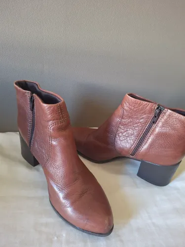 Bota