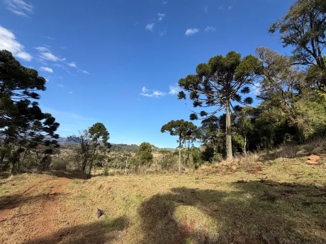 Terreno 2 hectares entre Urubici e Rio Rufino SC