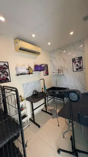 Pet shop completo á venda, em pleno funcionamento