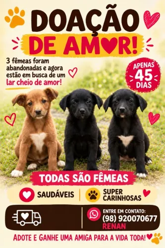 ? ADOÇÃO RESPONSÁVEL ?