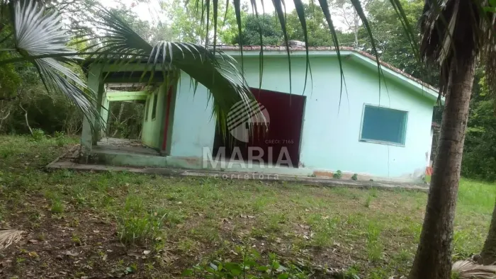 Propriedade com 05 hectares em São Lourenço da Mata/PE!
