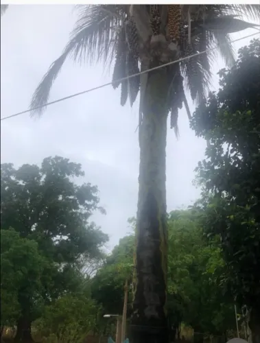 Chacara Santa Rosa Goias