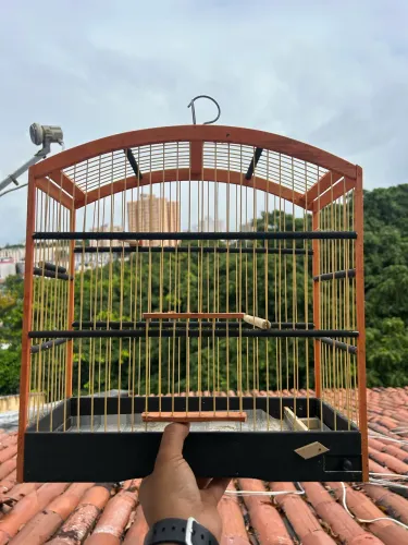 Gaiola Canário Belga