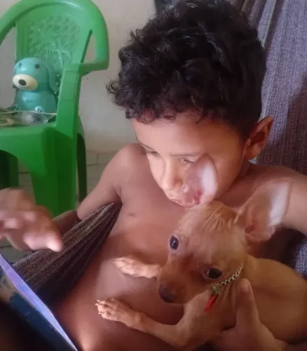 Filhote ? pincher n1,macho.Leia o anúncio pfv.