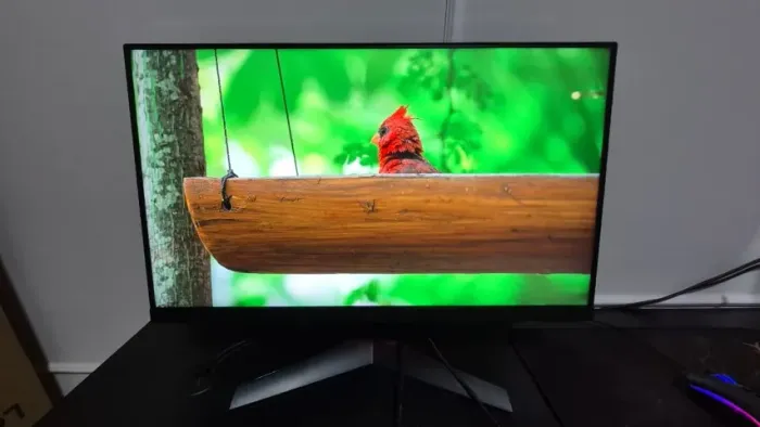 Monitor LG Ultragear, 24" Full HD, 144hz, 1ms, IPS, Freesync, HDMI, DP