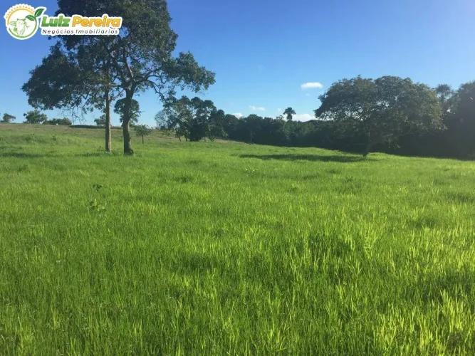 FAZENDA À VENDA EM CUIABÁ MT 361 HECTARES (DUPLA APTIDÃO)