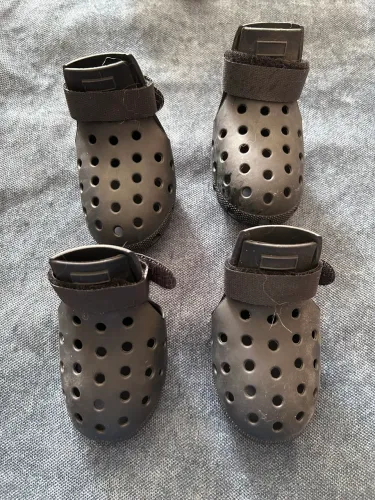 Lote Sapatos Pet (Usados)