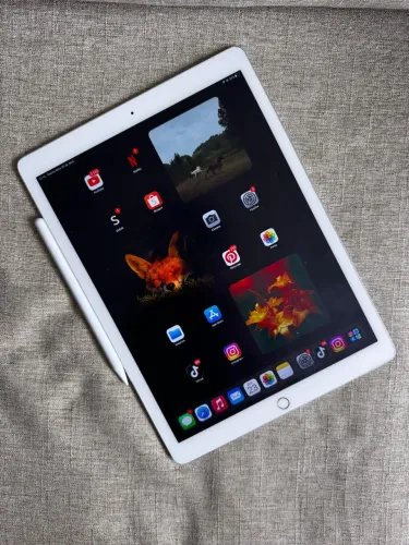 iPad Pro 256GB