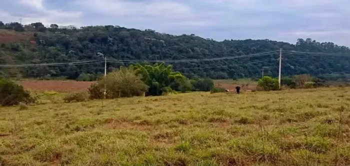 Oportunidade em Silvianopolis
