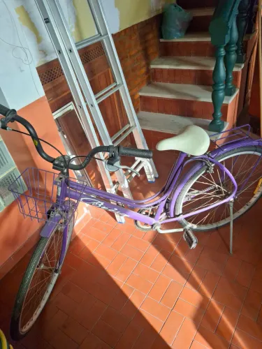 Bicicleta caloi monark brisa