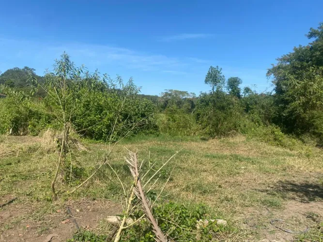 Terreno à venda em Cotia, Jardim Colibri, com 13000 m², Condomínio Jardim Colibri