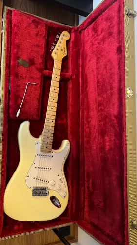 Guitarra Stratocaster