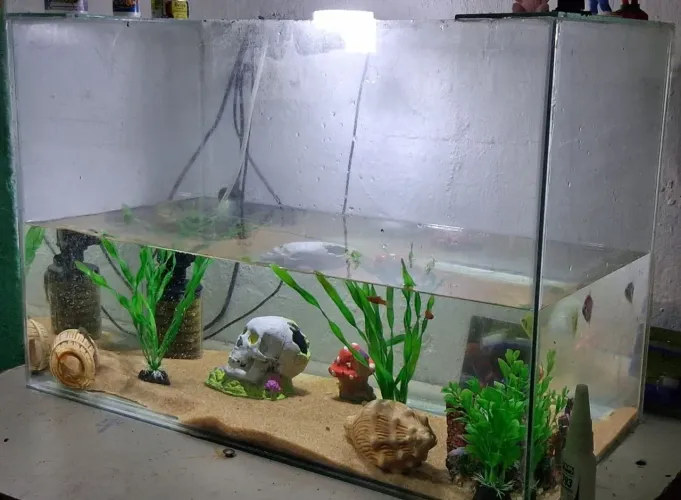 Aquário 70 litros (sem defeito)