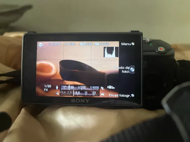 Sony Next-3 Miroless