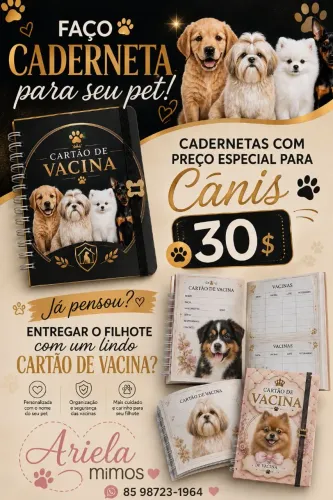 Cartão de vacina 