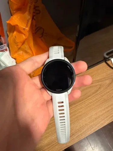 Garmin 165